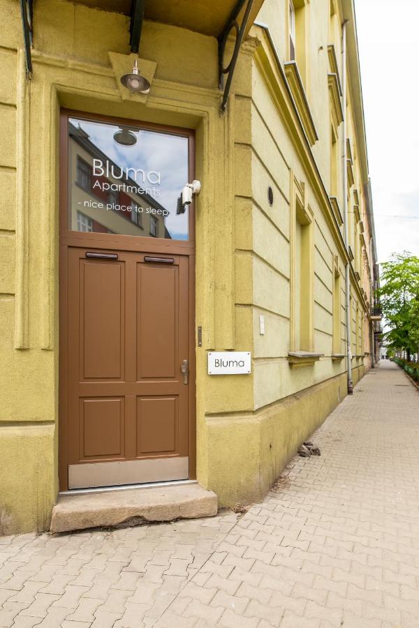 Apartamenty Bluma Kraków Zewnętrze zdjęcie